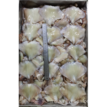 Frozen Squid Leftover Wing nototodarus Sloanii 400-600g